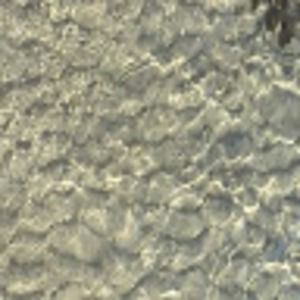 Meet your Posher, Dennis